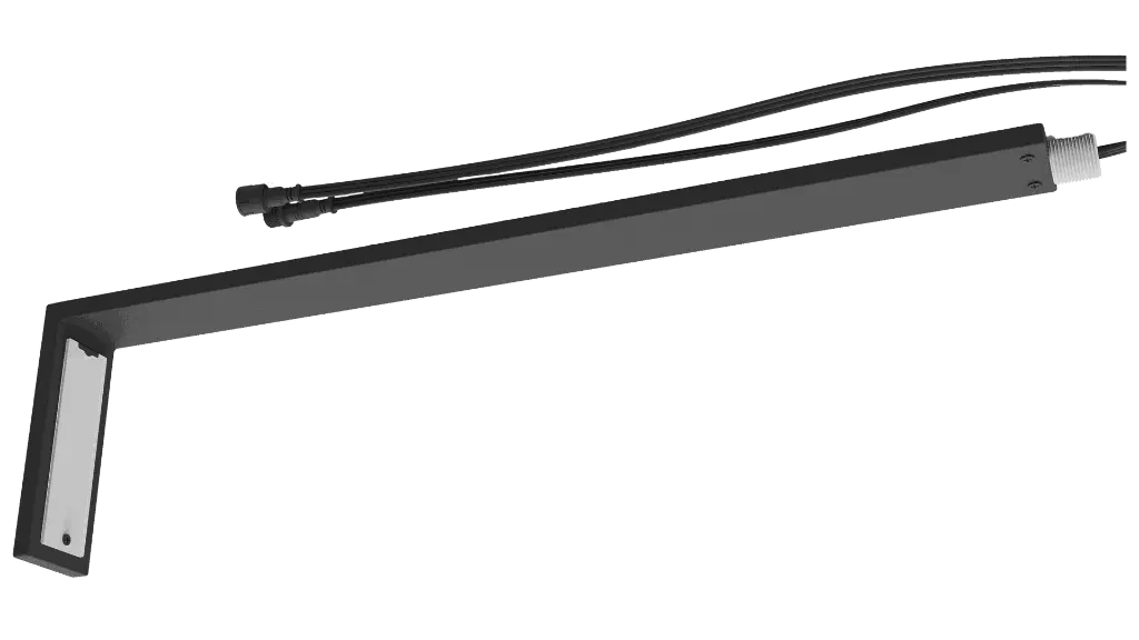 PathwayLight.webp