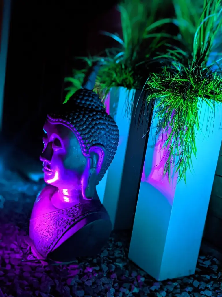 Landscape - Yard Night (5).webp