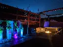 Landscape - Yard Night (2).webp