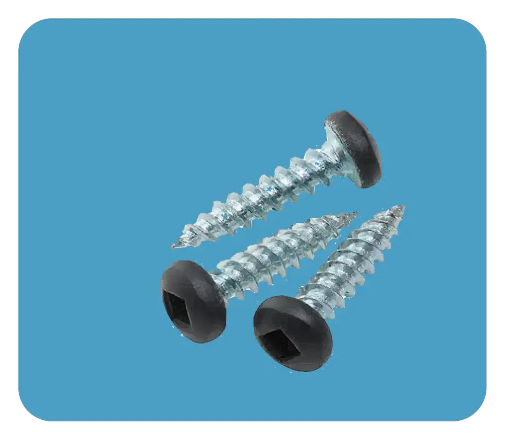 Painted Screws Royal Cactus (100)